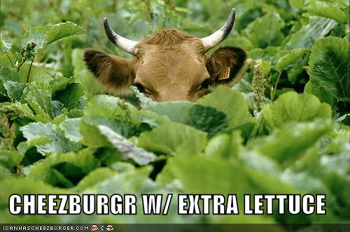 [http://behrrake.files.wordpress.com/2008/02/funny-pictures-cow-lettuce-cheeseburger.jpg]